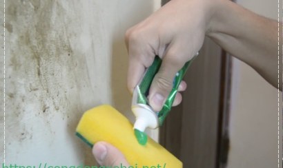 Cách làm sạch bếp ga và bếp điện từ