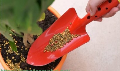 Cách khử mùi hôi trong phòng kín