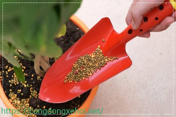 Sử dụng hoa tươi trong phòng làm mùi hôi biến mất một cách tự nhiên