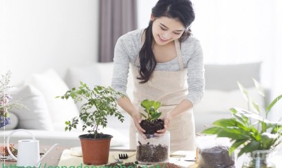 Cách làm vệ sinh nhà mới