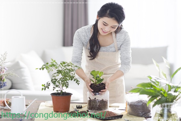 Hương thơm của hoa nhài giúp khử mùi hôi hiệu quả