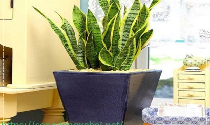 Cách khử mùi hôi phòng ngủ