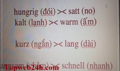 Ở Việt Nam có những trung tâm học tiếng Đức nào tốt?