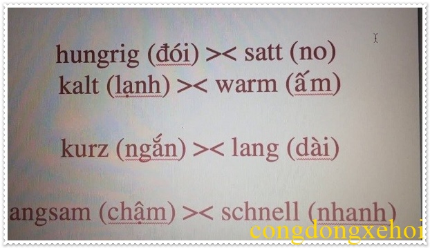 Học nghe trước khi học n&oacute;i tiếng Đức