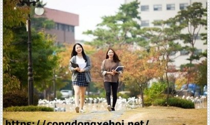 Cách hiệu quả nhất để học từ vựng tiếng Hàn