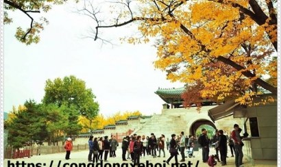 Lời khuyên hữu ích giúp học tiếng Hàn nhanh chóng