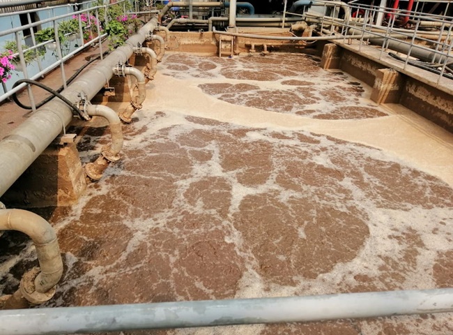 B&ugrave;n vi sinh l&agrave;m sạch nguồn nước