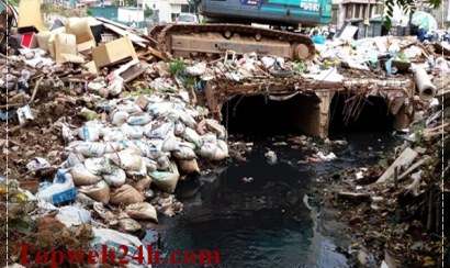 Rác thải nông nghiệp là gì? Quy trình xử lý rác thải nông nghiệp