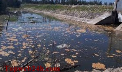 Nguyên nhân gây ô nhiễm nước bị đánh giá thấp