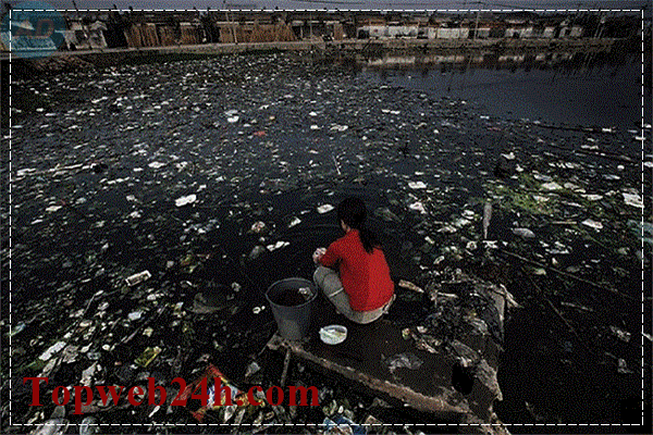 ô nhiễm môi trường