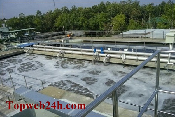 Hệ thống xử lý chất thải