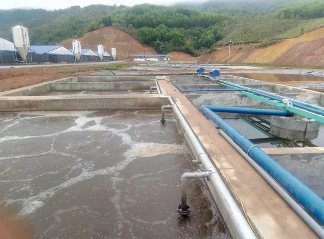 Mua b&ugrave;n vi sinh chất lượng nhất